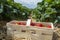 Strawberry fields in Germany, outdoor plantations with ripe sweet red strawberries ready for harvest