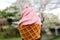 Strawberry Flavored Softcream with cherry trees in the background during spring in Japan.