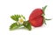 Strawberry with Flower Leaf Sprig