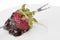 Strawberry on fondue stick