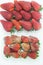 Strawberry food agriculture isolated mold delicious healthful fruit Sao Paulo Brazil