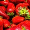 Strawberry Food Background. Fresh ripe sweet