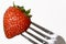 Strawberry fork