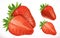 Strawberry. Fresh fruit. 3d vector icon