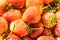 Strawberry fresh fruit, Zoom macroshot