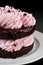Strawberry Frosted Chocolate Torte Cake