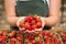 Strawberry growers with harvest,Agricultural engineer working in