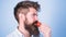 Strawberry healthy snack. Man handsome hipster with long beard eating strawberry. Hipster enjoy juicy ripe red