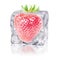 Strawberry in an ice cube