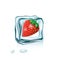 Strawberry in ice cube isolated