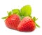 Strawberry macro