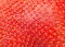 Strawberry macro background