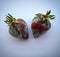 Strawberry with mold