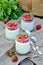 Strawberry panna-cotta dessert