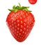 Strawberry realistic 3d vector isolated on white background