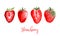 Strawberry red pink watercolor set images. Bright hand painted berries isolated on white background. Collection in modern trendy