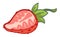 Strawberry ripe berry cut in half, organic food
