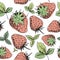 Strawberry seamless pattern. Hand-drawn red strawberry berries with green leaves without background.