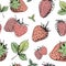 Strawberry seamless pattern. Hand-drawn red strawberry berries with green leaves without background. Wallpaper pattern