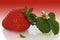 Strawberry with seedling and flower