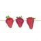 Strawberry Skewer