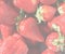 Strawberry, soft faded tone background