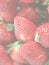 Strawberry, soft faded tone background