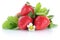 Strawberry strawberries berry berries fruit with leaves isolated