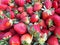 Strawberry strawberries fruit strawberry inbihar strawberryinbihar india bihar agriculture strawberrybasket