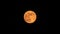 Strawberry Supermoon (Supermoon of strawberry) in the dark night in june 2020 in Spain
