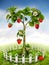 Strawberry Tree