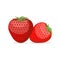 Strawberry. Two fresh red, ripe strawberries on white background