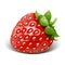 Strawberry vector