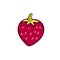 Strawberry Vector icon. Hand drawn print. Sticker design.