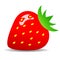 Strawberry vector illustration