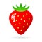 Strawberry vector illustration