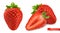 Strawberry vectorized image. Fresh fruit. 3d realistic vector icon