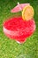 Strawberry Watermelon Daiquiri