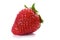 Strawberry on white background