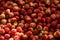 Strawberry wild berries background