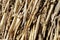 Straws in a hay bale
