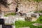 Stray cats sunbathing on top of the ruins of Roman columns at the Piazza Vittorio Emanuele II in Rome