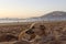 Stray dog on beach, Agadir, Morocco, Africa. Evening sunset with unsharp sea, sand, harbor and mountain in background