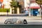 A stray dog living on the street. homeless animals. SELECTÄ°VE FOCUS