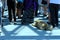 A stray dog lying on the tiled floor among people`s feet.