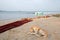 Stray dog next to fishing nets and small fishing boat on Nilaveli beach in Trincomalee Sri Lanka
