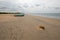 Stray dog next to small fishig boat on Nilaveli beach in Trincomalee Sri Lanka