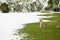 Stray dog sitting on green grass in the park covered with snow