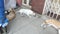 Stray dogs / Street dogs relaxing and sleeping on main market / bazaar in chennai, Tamilnadu, India. Stray dog on sick and