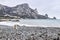 Stray white cat sits on a pebble beach against the backdrop of coastal rocks